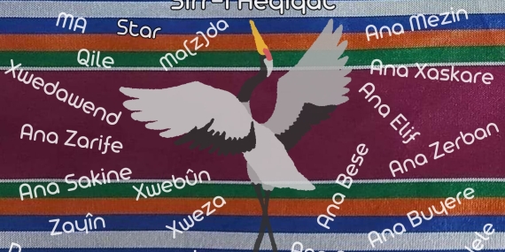 Tezeneye Değen Milliyetçilik, Söze Bulaşan İnkar ve Kürt Aleviliği