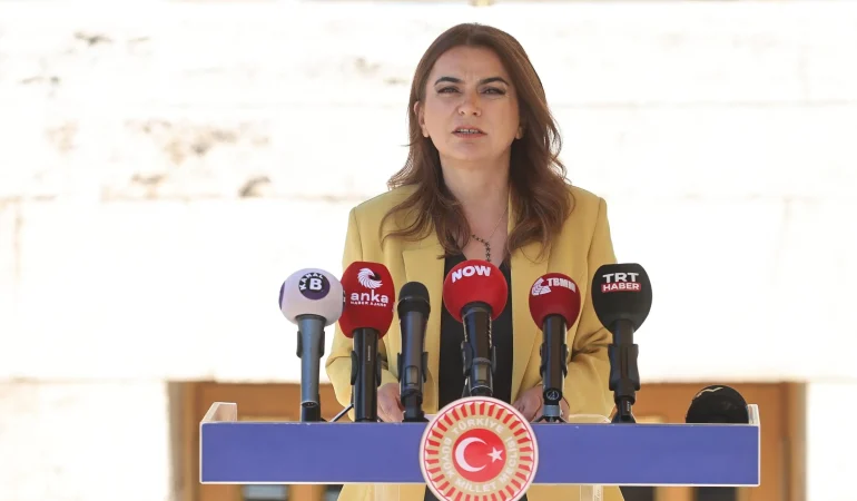 DEM Partili Koçyiğit: Komisyon İmralı ile doğrudan temas kurulmalı