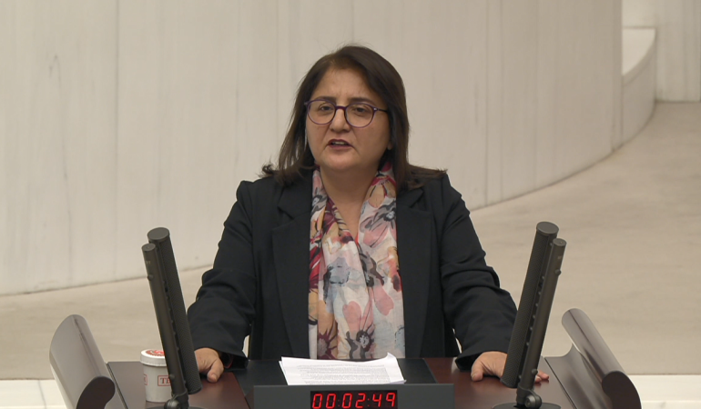 Munzur Üniversitesi’ndeki Tahsis Kararı Meclis Gündeminde: İki Bakanlığa Soru Önergesi