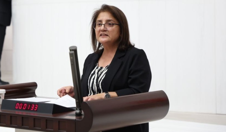 Dersim’de Madencilik Tepkisi: Milletvekili Ayten Kordu, Hel ve Bağır Dağı’ndaki Ruhsatları Meclis Gündemine Taşıdı