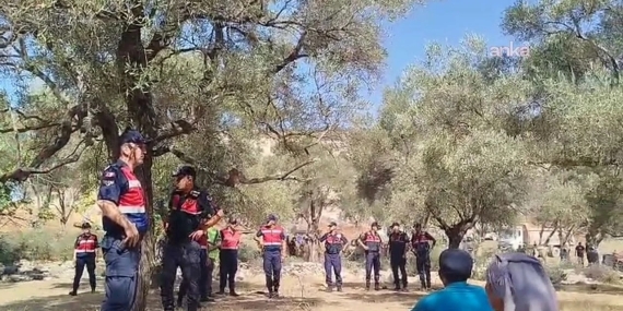 Akbelen’de zeytinlikler kömür madeni için kesiliyor, köylüler gözaltında