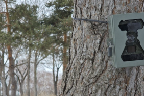 Ekran görüntüsü 2025-10-27 175349