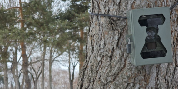 Dersim’de “fotokapanlar” ile kaçak avcılık yaptığı tespit edilen 11 kişiye 88 bin 96 lira ceza kesildi