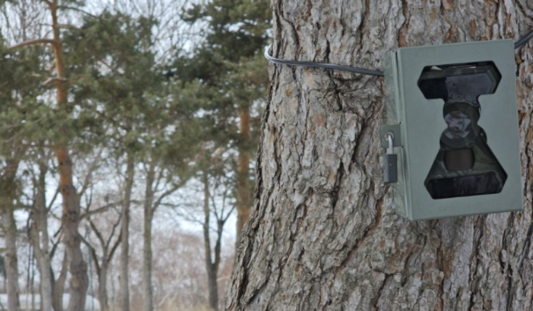 Dersim’de “fotokapanlar” ile kaçak avcılık yaptığı tespit edilen 11 kişiye 88 bin 96 lira ceza kesildi