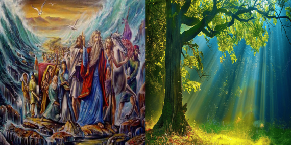 Kırk Yılın Öğretisi: İbni Haldun’un “Devlet Teorisi” Bağlamında “Alevi Örgütlülüğünün Otuz Yılı”