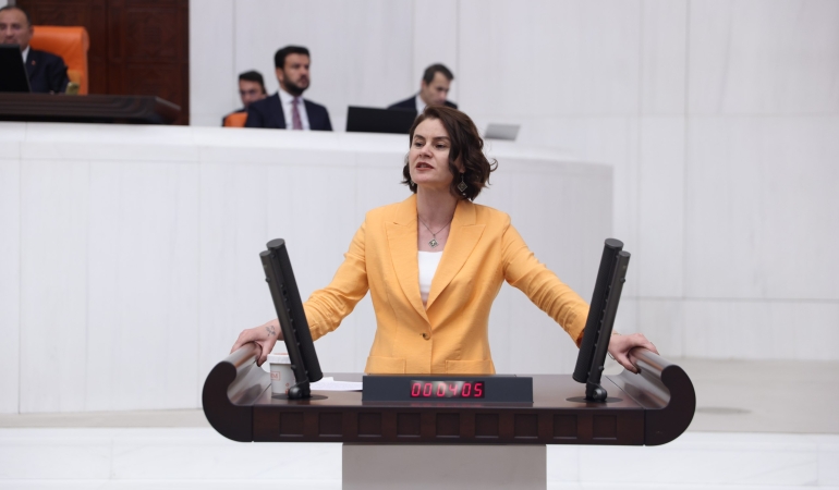 DEM Parti’den soru önergesi: “Türk’üz, Türkçe konuşuruz” pedagojik mi?
