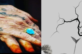 Screenshot 2025-10-27 164741