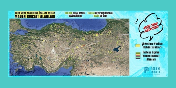 Polen Ekoloji Kolektifi: Trabzon’dan büyük bir bölge maden şirketlerine satıldı