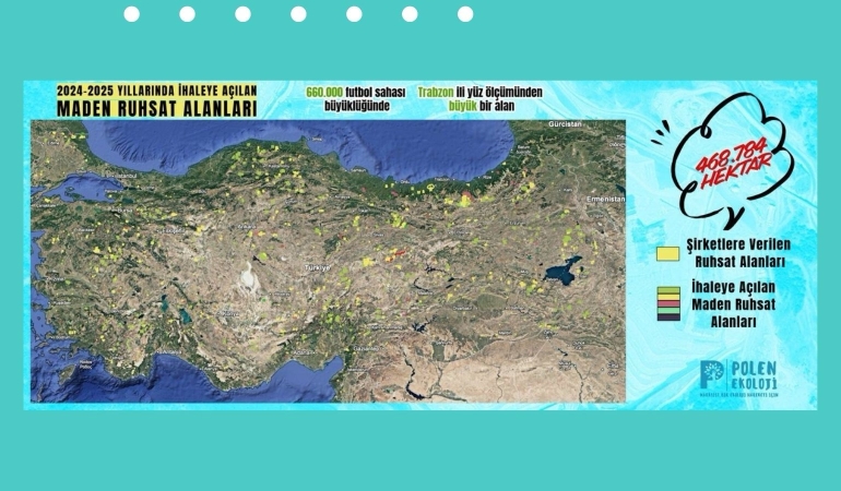 Polen Ekoloji Kolektifi: Trabzon’dan büyük bir bölge maden şirketlerine satıldı