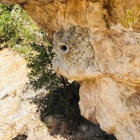 WhatsApp Image 2025-10-29 at 15.03.28