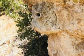 WhatsApp Image 2025-10-29 at 15.03.28