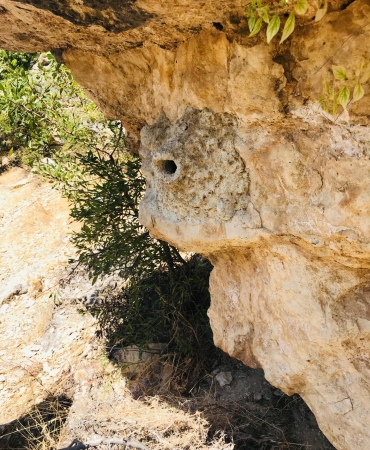 WhatsApp Image 2025-10-29 at 15.03.28