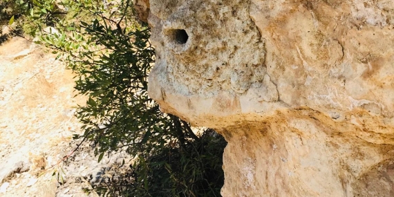 Bu Toprakların Gerçek Sahipleri: Hafızanın ve Direnişin İzinde Dersim