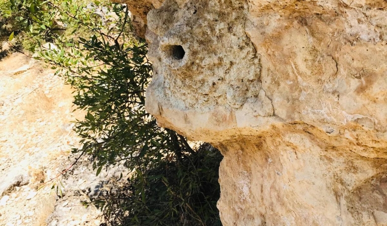 Bu Toprakların Gerçek Sahipleri: Hafızanın ve Direnişin İzinde Dersim