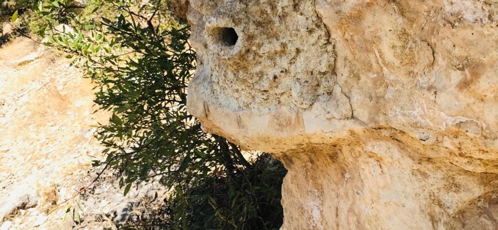 WhatsApp Image 2025-10-29 at 15.03.28