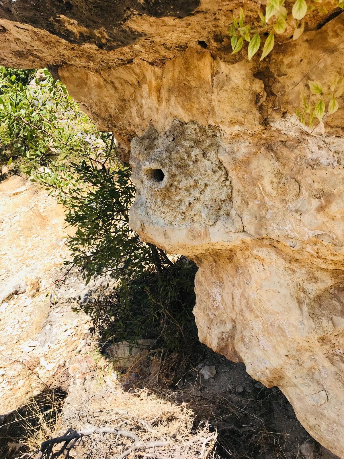 WhatsApp Image 2025-10-29 at 15.03.28