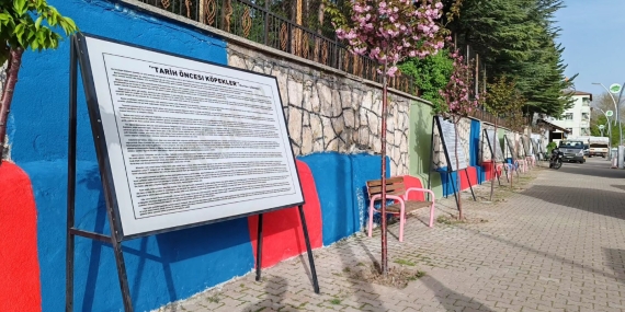 Dersim Milletvekili Ayten Kordu’dan Bellek Duvarı Sorusu: Hozat Kaymakamlığı’nın Gerekçesi Nedir?