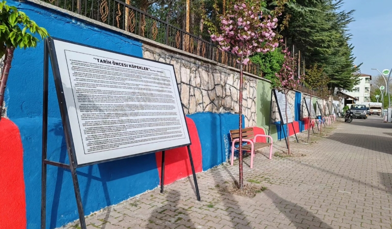 Dersim Milletvekili Ayten Kordu’dan Bellek Duvarı Sorusu: Hozat Kaymakamlığı’nın Gerekçesi Nedir?