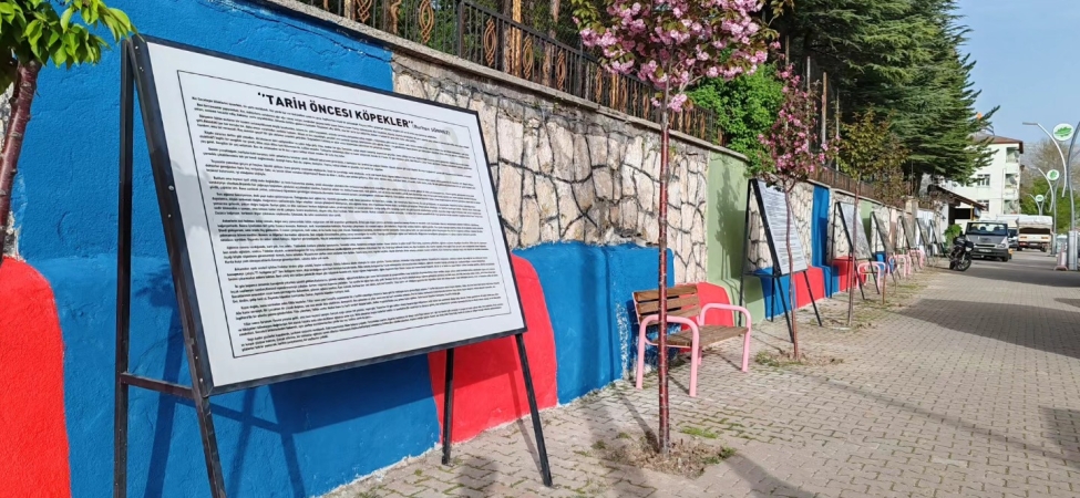 486498729_1108043958024514_2216579724975694174_n