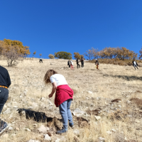 Ekran görüntüsü 2025-11-03 121412