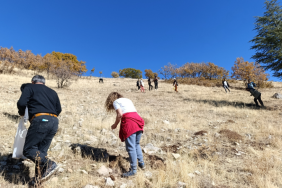 Ekran görüntüsü 2025-11-03 121412