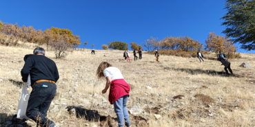 Ekran görüntüsü 2025-11-03 121412