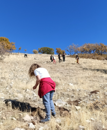 Ekran görüntüsü 2025-11-03 121412