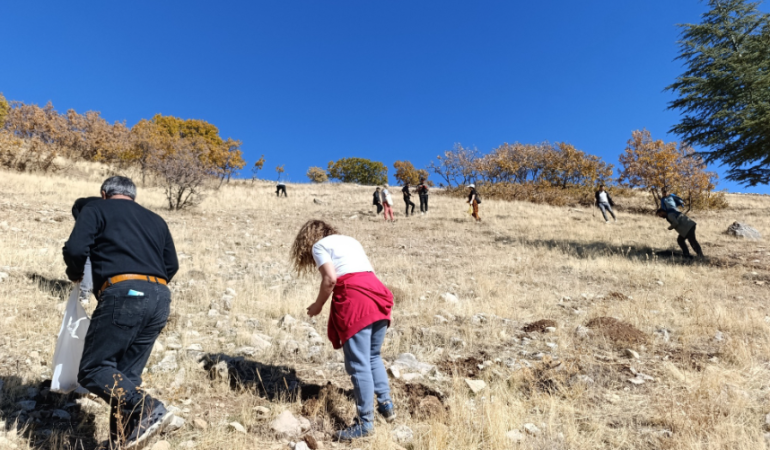Hozat’ta palamut ekimi seferberliği