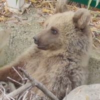 Ekran görüntüsü 2025-11-14 173504