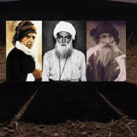 Ekran görüntüsü 2025-11-14 211347