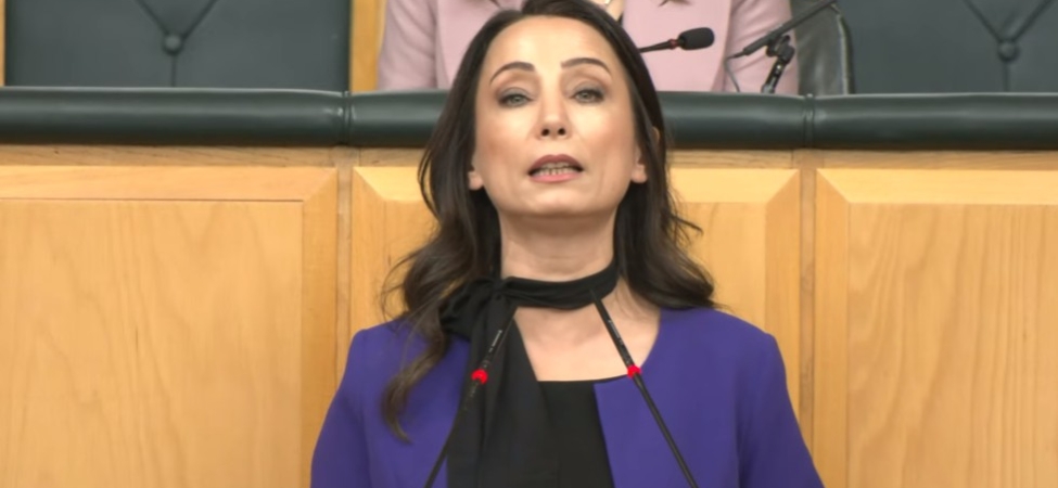 Ekran görüntüsü 2025-11-25 125252