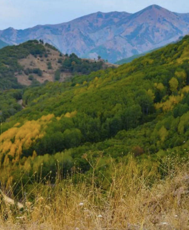 ekran-resmi-2023-12-14-11.40.00