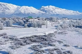 695376b4a054e9e8b2056f8b