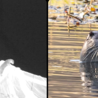 Ekran görüntüsü 2025-12-10 142631