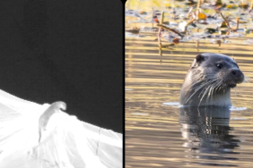 Ekran görüntüsü 2025-12-10 142631