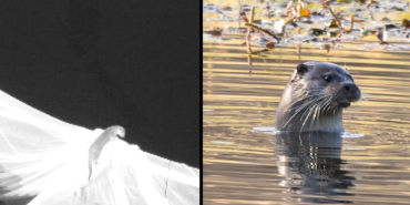 Ekran görüntüsü 2025-12-10 142631