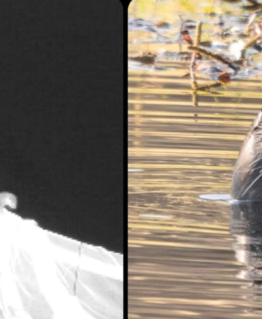 Ekran görüntüsü 2025-12-10 142631