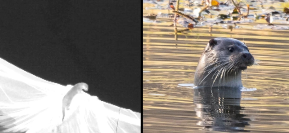 Ekran görüntüsü 2025-12-10 142631