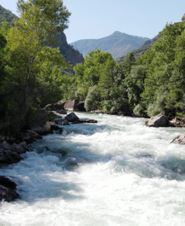 Ekran görüntüsü 2025-12-12 170408