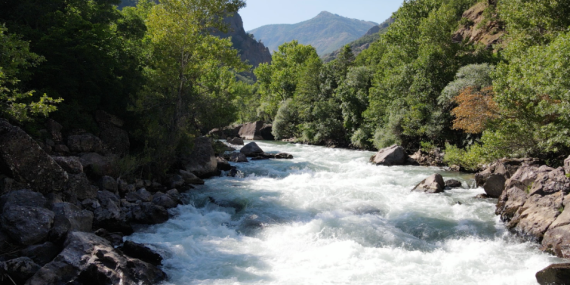 Munzur ve Pülümür Çayı’nda av yasağı devam ediyor: 28 kişiye idari para cezası