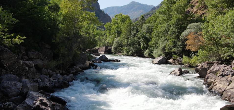 Ekran görüntüsü 2025-12-12 170408