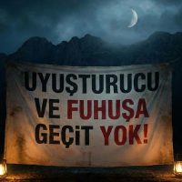 Gemini_Generated_Image_diwsldiwsldiwsld