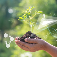 Screenshot 2025-12-07 180148