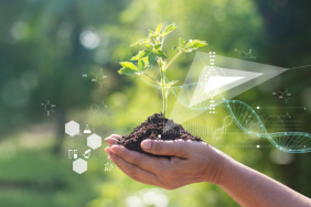 Screenshot 2025-12-07 180148