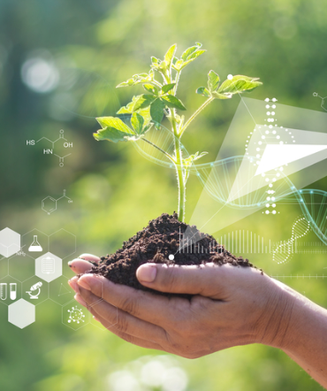 Screenshot 2025-12-07 180148