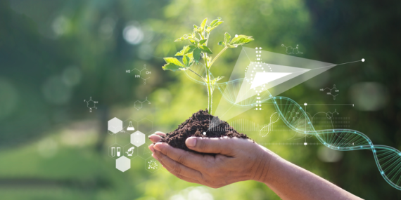 “Bilgi sahibi olmadan fikir sahibi olmak, tehlikelidir”