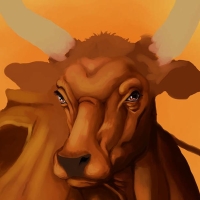 Webp.net-compress-image