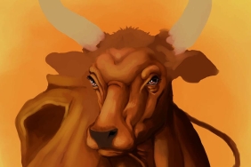 Webp.net-compress-image