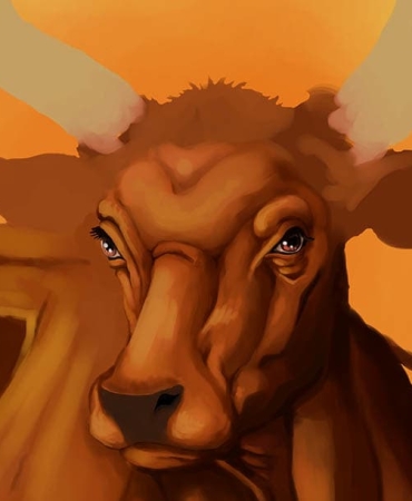 Webp.net-compress-image