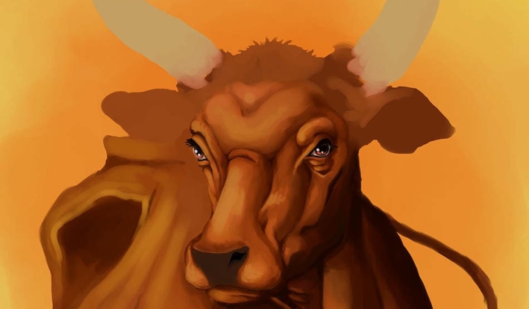 Kürt Alevilerinde Ga (Öküz-Boğa), Gaxand’a İlişkin Bazı Tarihsel Veriler